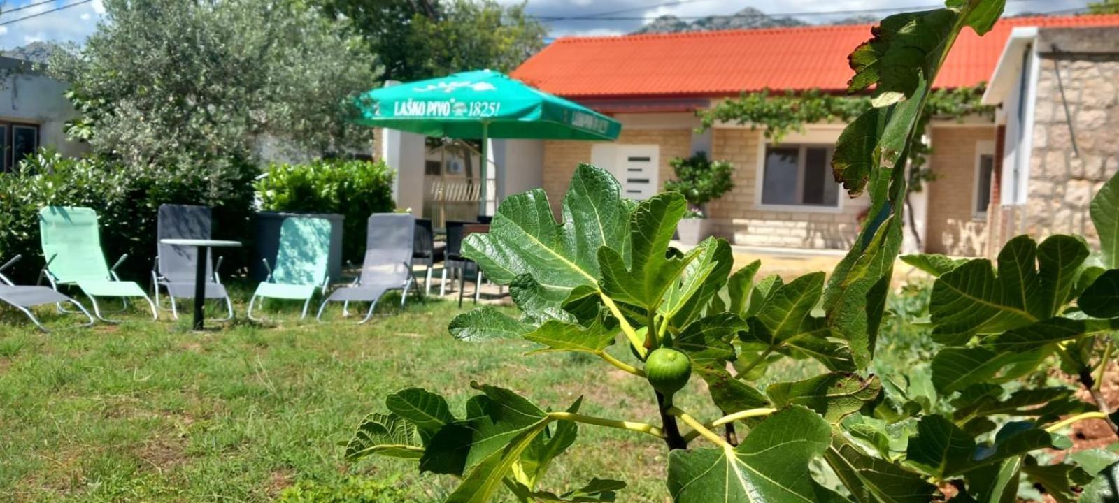 Holiday Home Zeljko,Marija & Jakov Starigrad Paklenica Exterior foto